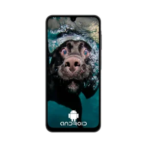 CELULAR SAMSUNG GALAXY SM-A266MZK OC 8GB 256GB 5G 6.7 Pulg.